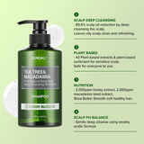 Dziļi attīrošs šampūns Kundal Tea Tree & Macadamia Deep Cleansing Shampoo Cherry Blossom